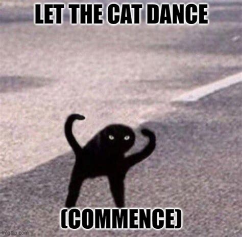 Kitty Cat Dance Original Meme Youtube