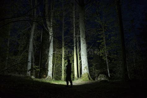 Man Standing In Dark Forest At Night With Flashlight And Hoodie On Head