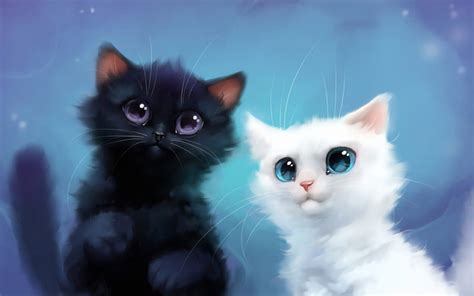 🔥black And White Cats Cute Animals 3d Art Yin And Yang Cartoon Cats