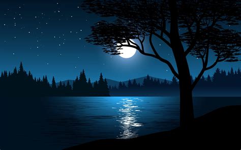 Moon Reflection On Lake At Night Vector Art At Vecteezy