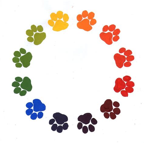 38 Colorful Paw Print Wallpaper