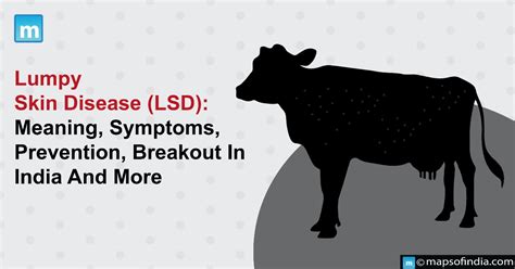 Lumpy Skin Disease Lsd Meaning Symptoms Prevention Breakout In