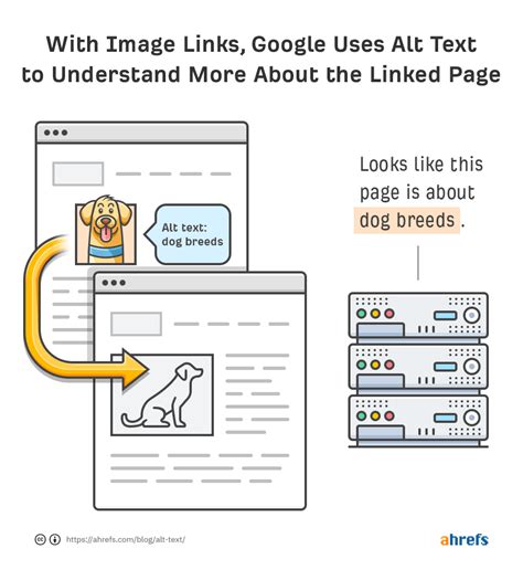 Alt Text For Seo How To Optimize Your Images