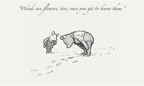 It may simply be that he has a small piece of fluff in his ear. ~ 12 Winnie the Pooh Quotes to Melt Your Heart This Chilly ...