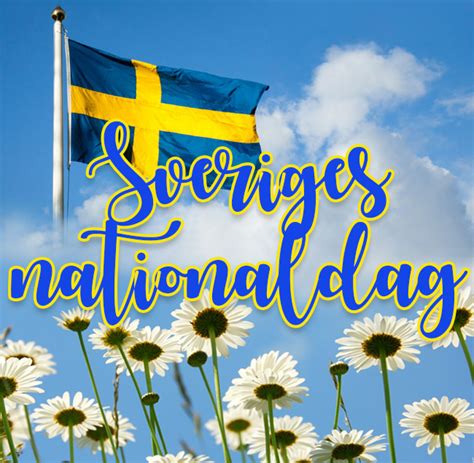 Den 6 juni firas den svenska nationaldagen i sverige. Junitjej: Nationaldagen