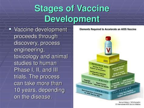 While vaccines are effective in preventing diseases, herd immunity. PPT - Newer vaccines PowerPoint Presentation, free ...
