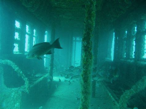 Photos Go Inside The Nyc Subway Cars Dumped In The Atlantic Ocean Over