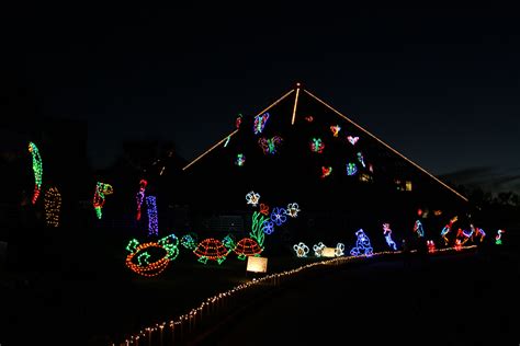 Maybe you would like to learn more about one of these? Moody Gardens Houston Festival Of Lights - Beautiful ...