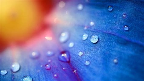 The product is immersed, either wrapped or in spray/droplet freezing, a liquid is injected in the form of a spray or droplets into a cold gaseous or liquid environment (usually liquid nitrogen). Will April Market showers lead to May flowers? | MahoneyGPS
