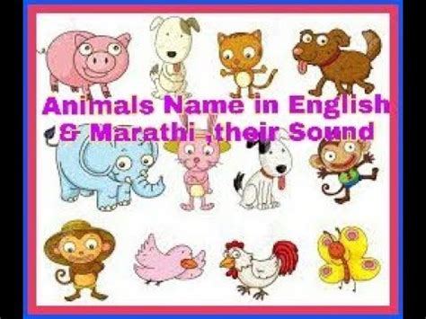 Animals name English &Marathi with sounds - YouTube