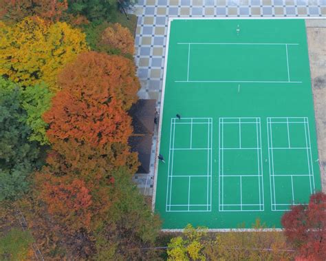 최초의 패럴림픽 배드민턴 시상대를 노린다. 배드민턴 경기장 규격 : 네이버 블로그