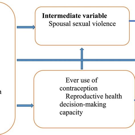 Conceptual Framework Of Unintended Pregnancy And Sexual Violence By Download Scientific Diagram