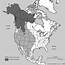 Ursus Arctos  Habitat And Geography