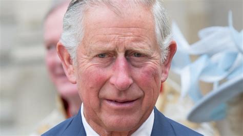 Summary The Second Batch Of Prince Charles Letters To Ministers Itv News