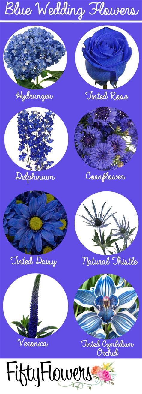 Blue Flower Names