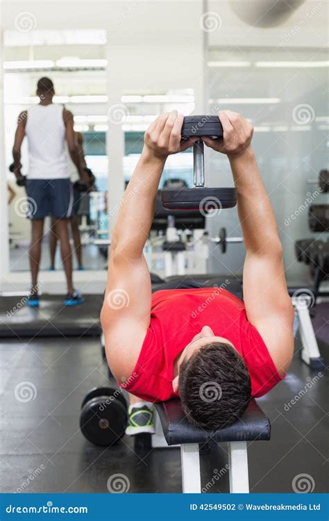 Bodybuilder Lying On Bench Lifting Heavy Dumbbell Stock Photo Image