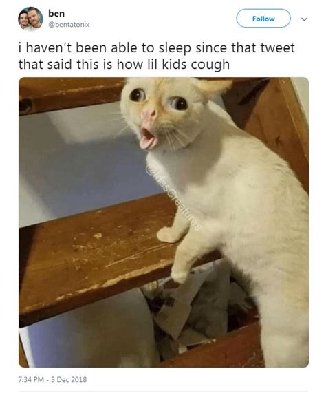 We Cant Stop Thinking About This Coughing Cat Meme With Images