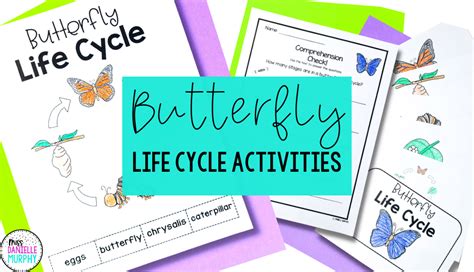Labeling Activities Fun Writing Activities Life Cycles Activities