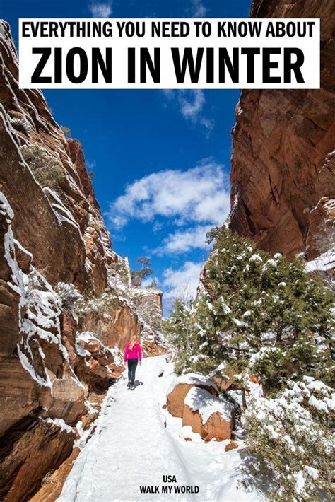 Why You Definitely Need To Visit Zion National Park In Winter Artofit