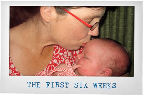 The First Six Weeks Rebecca Sparrow