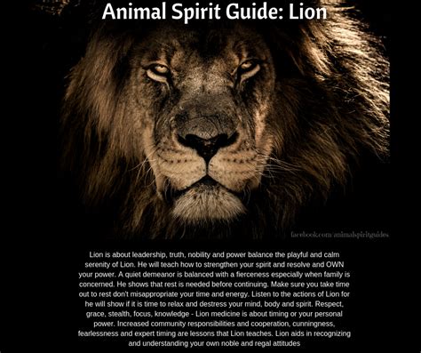 Lion Animal Spirit Guide Meaning Spirit Animal Lion Spirit Animal