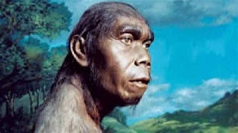 Manusia Purba Tertua Di Indonesia Pertama Kali Ditemukan Arkeolog Saat