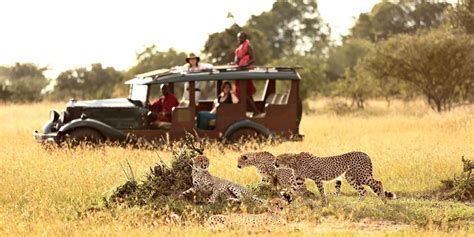 Best Safaris In Kenya Luxury Safari Tour Packages From Nairobi