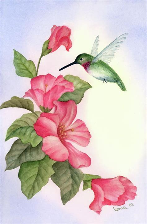 Hummingbird With Hibiscus By Leona Jones Hummingbird Painting Bird