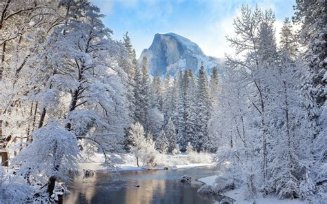 Download Winter Nature Ultra Hd Wallpaper For Seasonal Enthusiasts