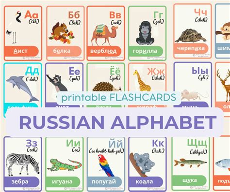 Russian Alphabet Flashcards In 2 Designs Russian For Etsy