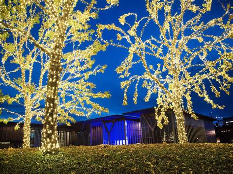 Best Christmas lights in Fort Worth and across North Texas for 2023