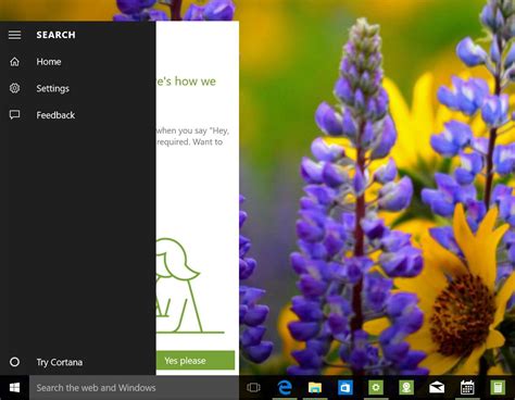 Windows 10 Build 10147 Everything You Need To Know Windows Central