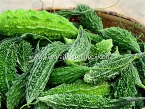 Unlike most rice varieties, this type is not generally available in 25kg or 50kg bags. Bitter Gourd Exporter in India