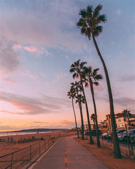 Pink Sky And Palm Trees All Over Los Angeles California