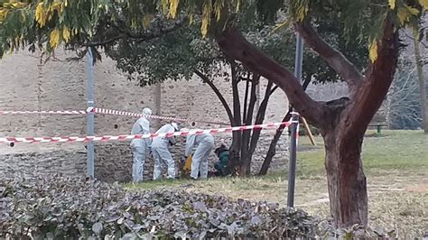 La casa di lavoro è una misura di sicurezza detentiva, qualche volta viene data in. Uccise donna per 3 euro, ergastolo | GiornalediRimini.com