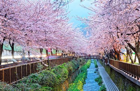 When is the best time to visit South Korea? - Skyscanner Philippines