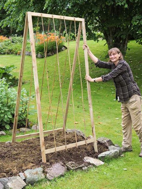 15 Easy Diy Cucumber Trellis Ideas Allotment Gardening Diy Garden