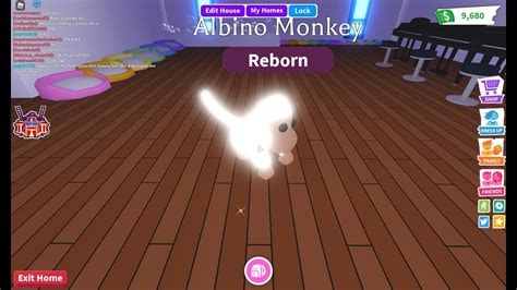 Check spelling or type a new query. Making a neon albino monkey in Adopt Me! - YouTube