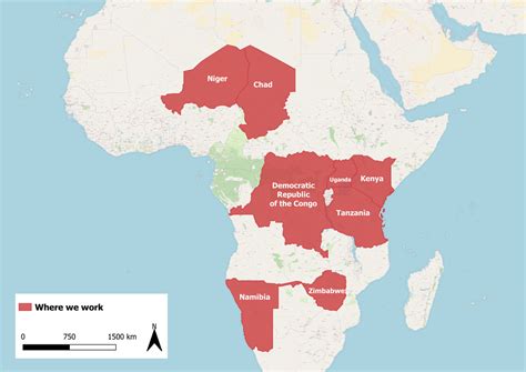 Regional Map Of Giraffes Patterns In Africa Vivid Map - vrogue.co