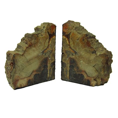 Pair Of Polished Petrified Wood Geode Fossil Bookends For