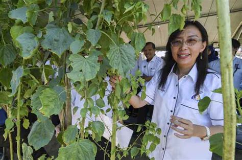 Kementerian perusahaan perladangan dan komoditi. Pelabur tempatan dan asing dipelawa majukan industri kenaf ...