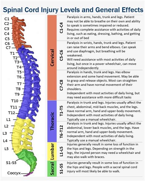 Pin On Spine Health