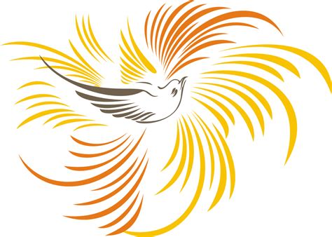 Burung cendrawasih lebih dikenal dengan bird of paradise ada berbagai jenis. Download Gambar Burung Cendrawasih Vektor - Kumpulan Logo Lambang Indonesia