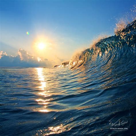 171 Best Images About The Wave And Shore On Pinterest