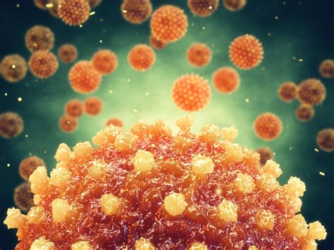 Virus Generalità E Caratteristiche Peculiari Di Entità Biologiche