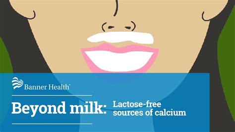 Beyond Milk Lactose Free Sources Of Calcium Youtube