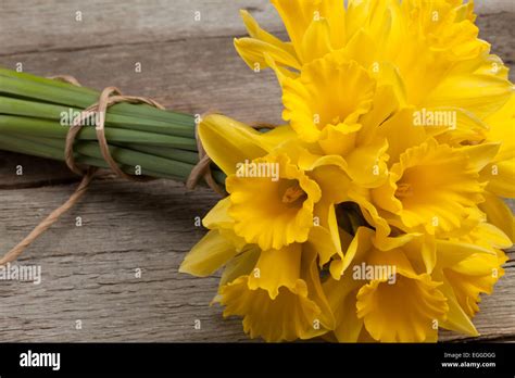 Easter Daffodil Hi Res Stock Photography And Images Alamy