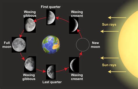 A Diagrammatically Represent The Various Phases Of The Moon Seen From