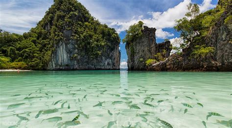 2024 Hong Island And Snorkelling Day Tour Krabi Ami Travel And Tours