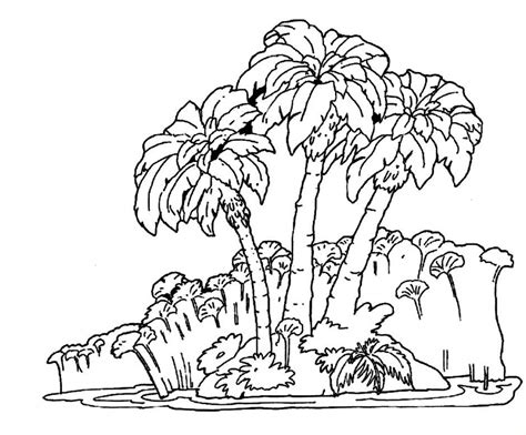 Rain Forest Trees Coloring Page Coloring Home